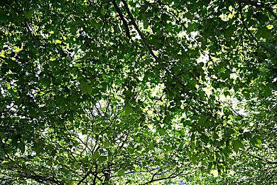 《死亡空间：重制版》开发商或在开发另一款新作品